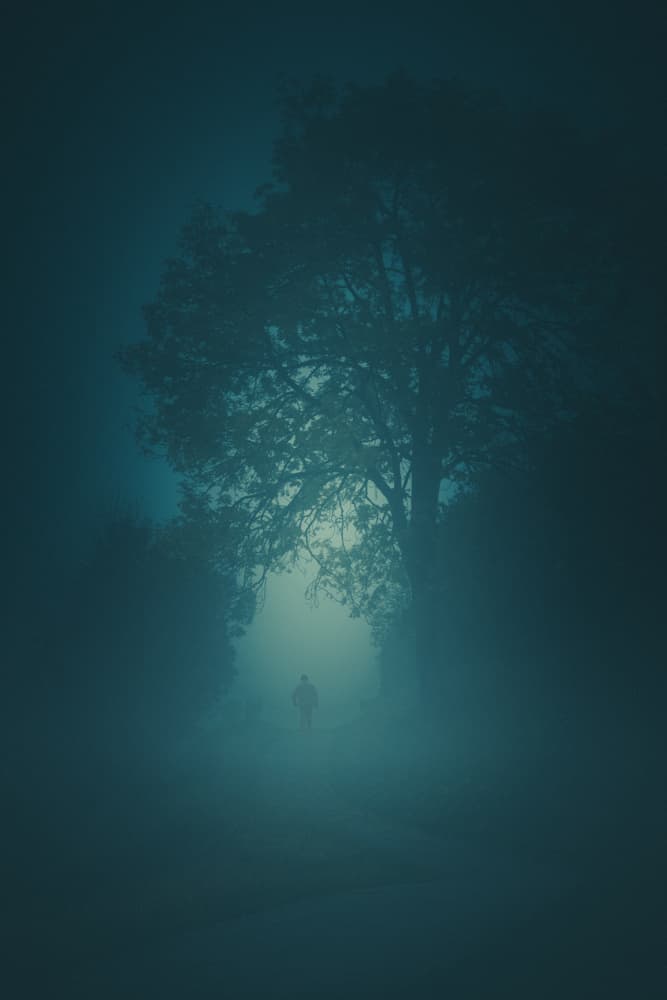 Solitary Walk in Deep Fog by Andrea Fraccaroli — canvas wall art