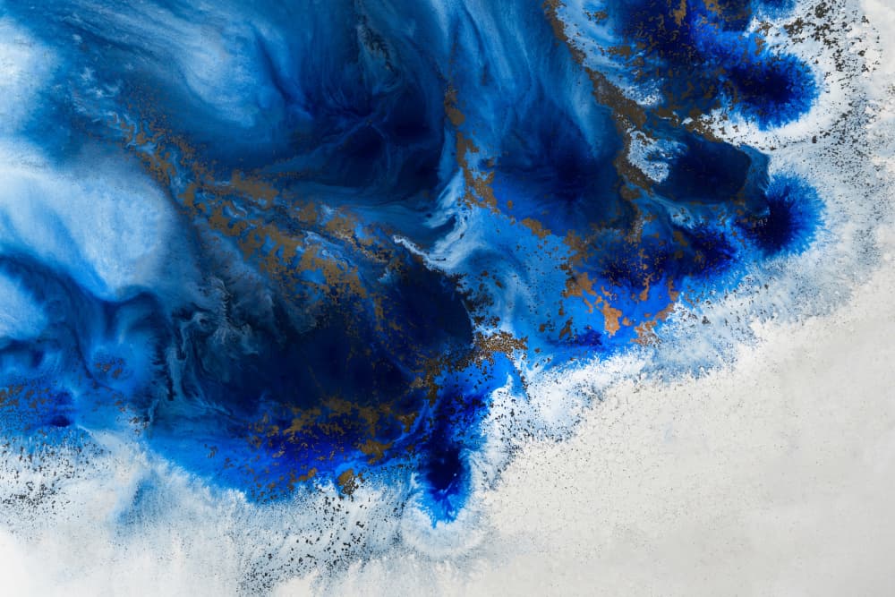 Nautical Art - Graceful Release by Petra Meikle de Vlas — canvas wall art