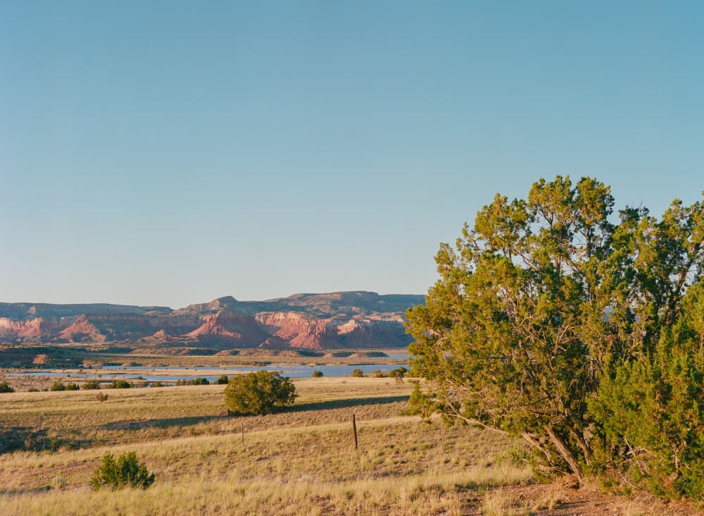 Golden Hour Desert Lake by Bethany Young — canvas wall art