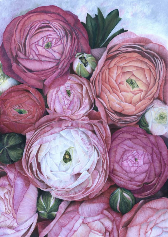 Blushing Ranunculus Bouquet by Rosana Laiz Blursbyai — canvas wall art