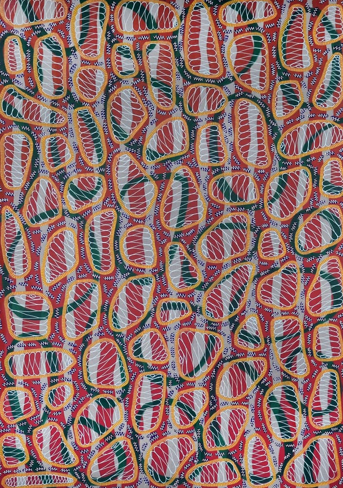 Vibrant Organic Shapes by Naomi Vona — canvas wall art