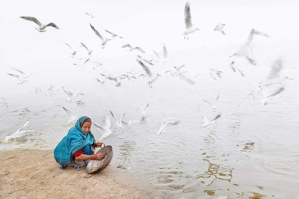 Woman Feeding River Birds by Juan Luis Duran — canvas wall art