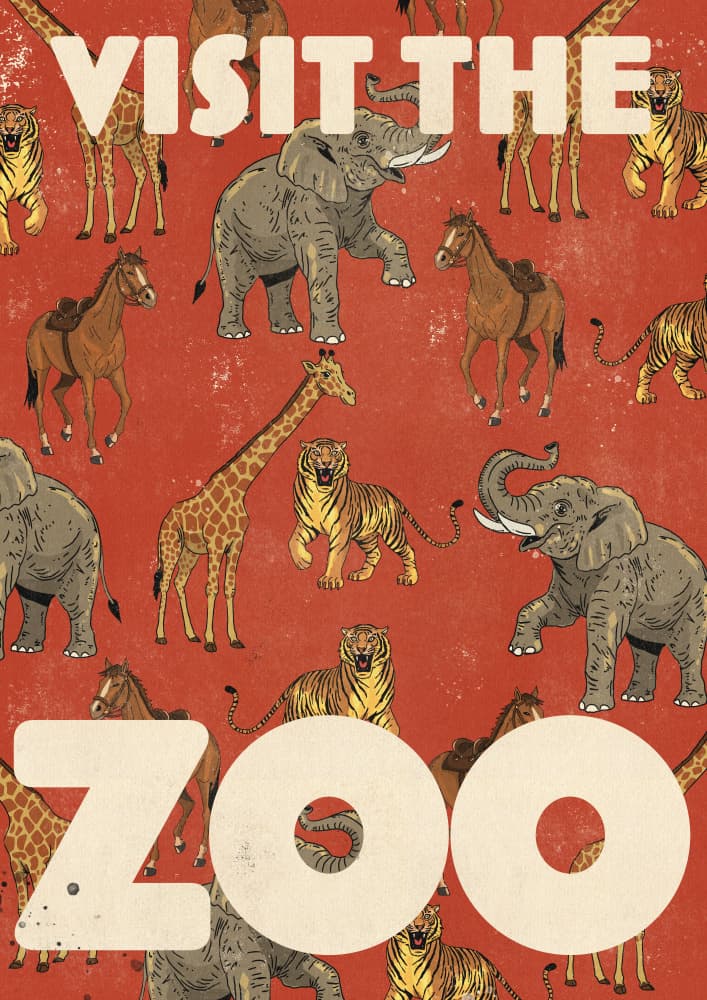 Visit The Zoo by Nicholas — canvas wall art