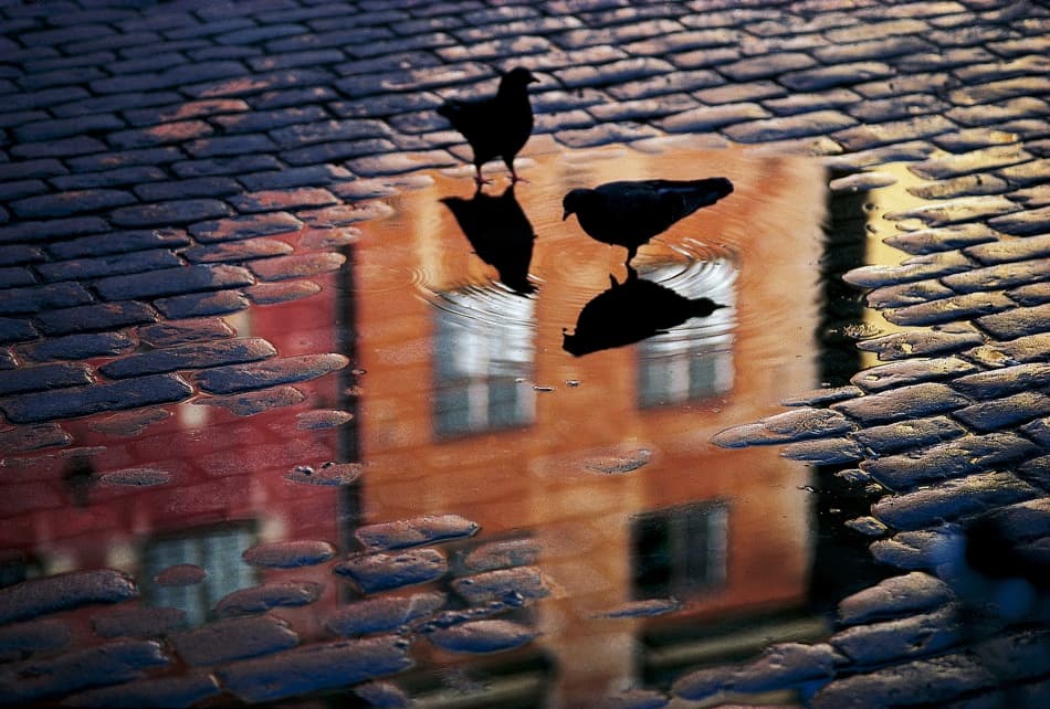 Urban Puddle Reflection by Allan Wallberg — canvas wall art
