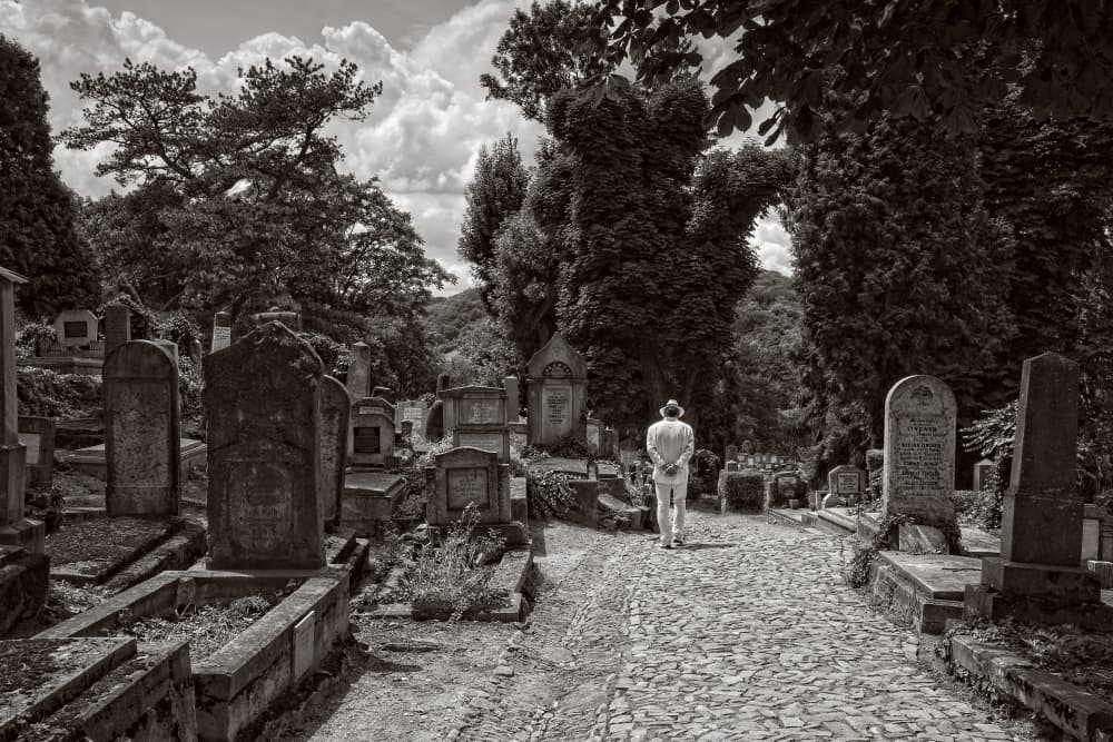 Solemn Cemetery Path by Daniel De Cort — canvas wall art