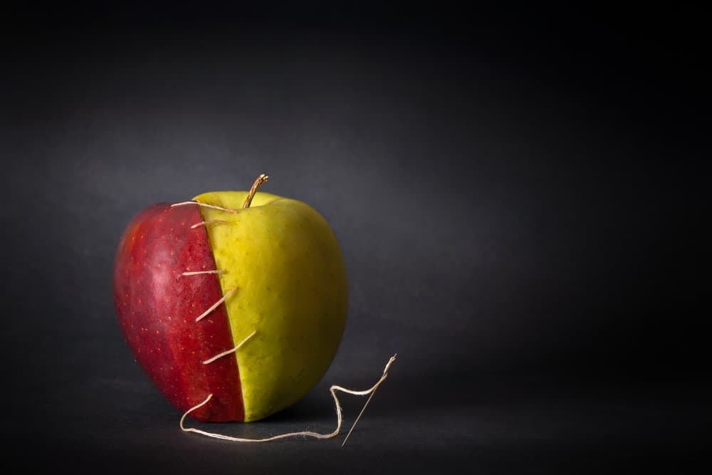 Stitched Apple by Giorgio Toniolo — canvas wall art