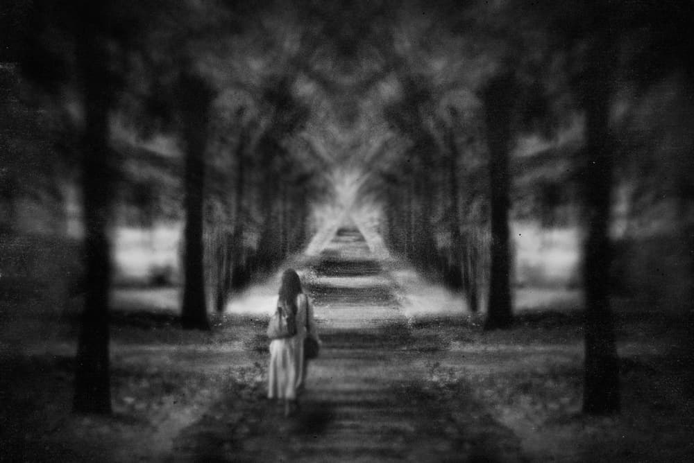 Solitary Forest Path by Teruhiko Tsuchida — canvas wall art