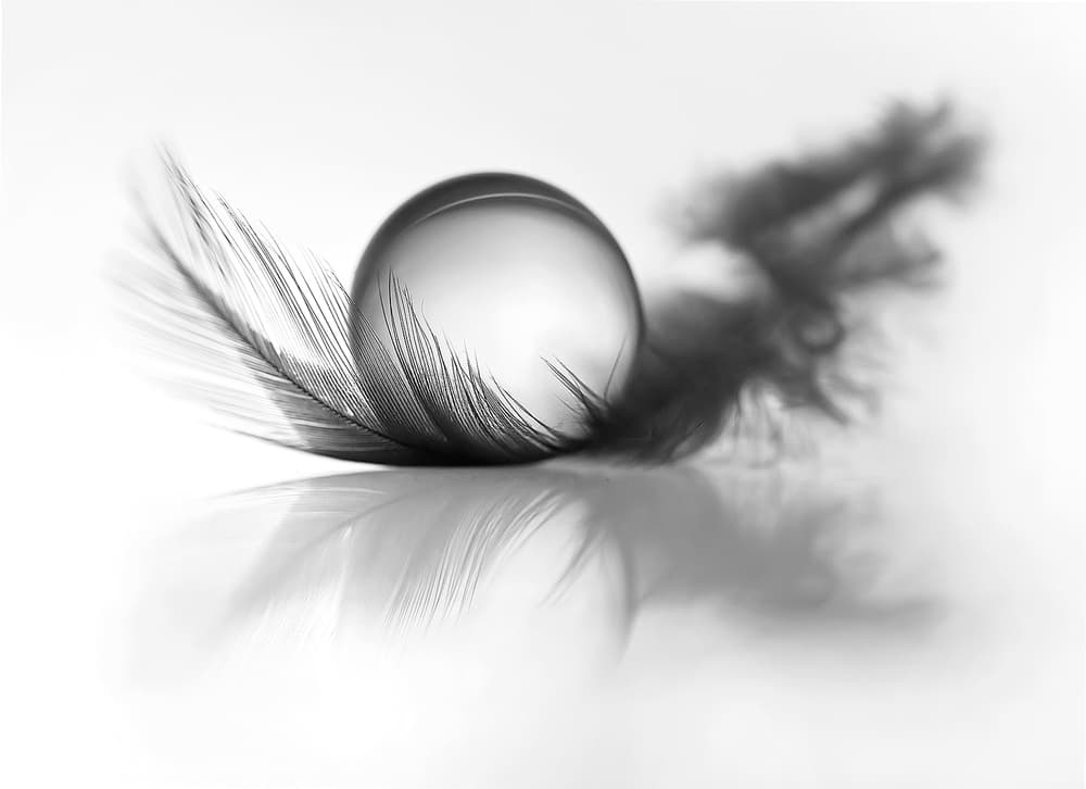 Feather Sphere Reflection by Aida Ianeva — canvas wall art