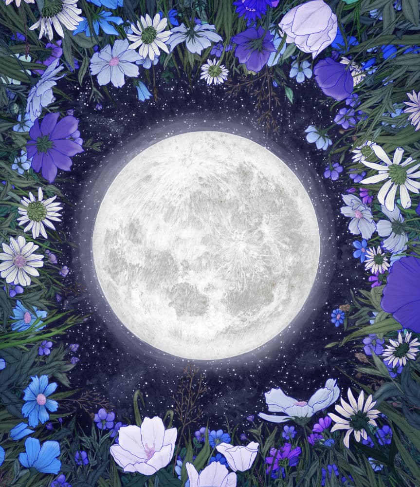 Moonlit Flower Garden by EC Mazur — canvas wall art