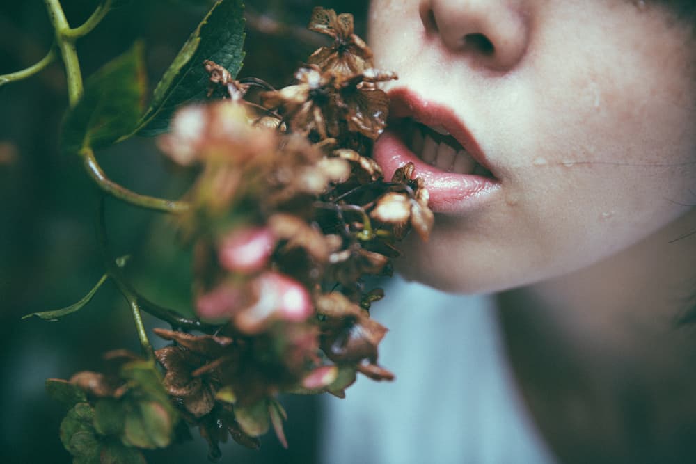 Sensual Lips Botanical Touch by Daisuke Kiyota — canvas wall art