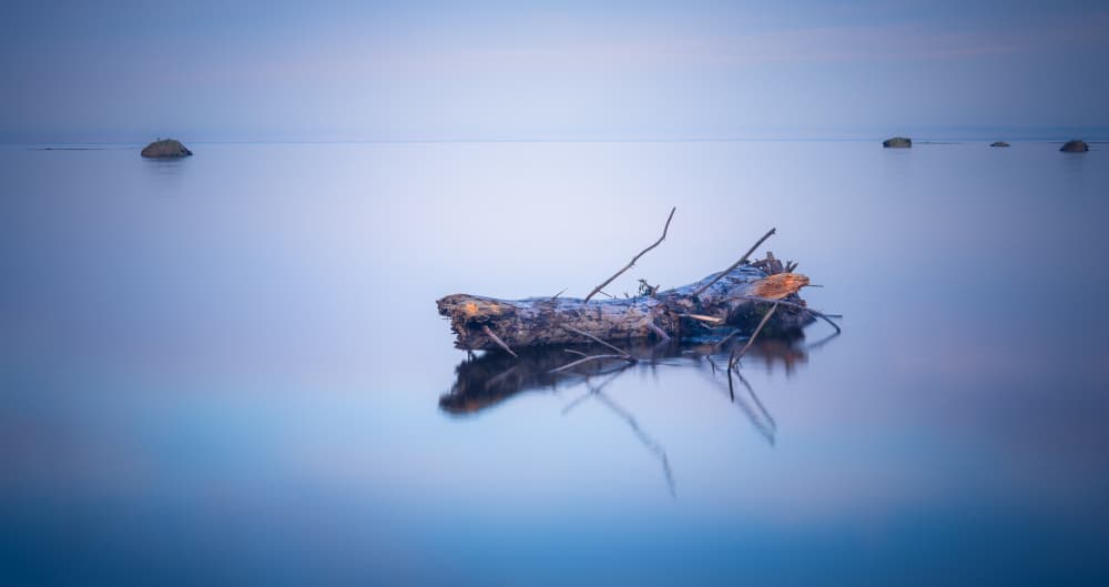 Driftwood on Calm Water by Miroslaw Prybinski — canvas wall art