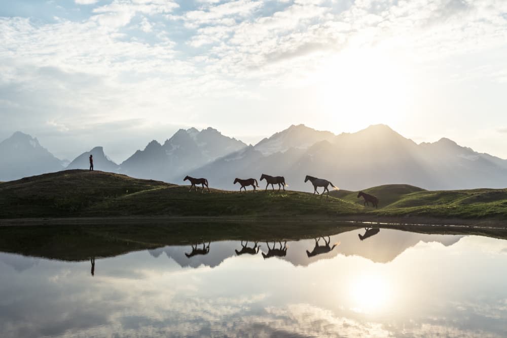Horses Mountain Lake Reflection by Witold Ziomek — canvas wall art