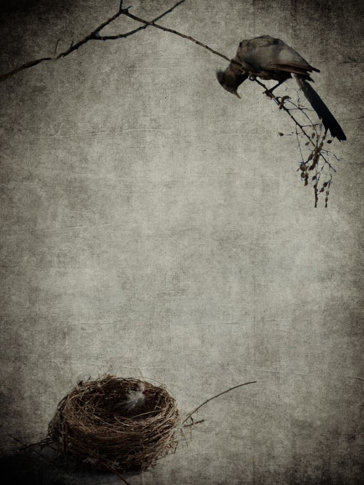 Empty Nest Syndrome by Gaby Grohovaz — canvas wall art
