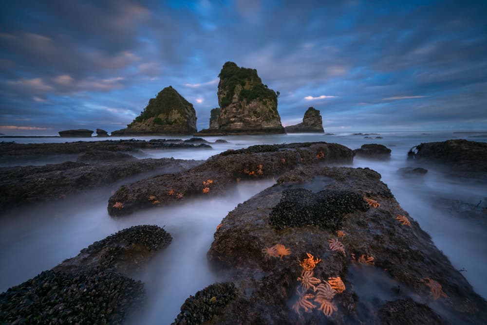 Twilight Sea Stacks and Stars by Jingshu Zhu — canvas wall art