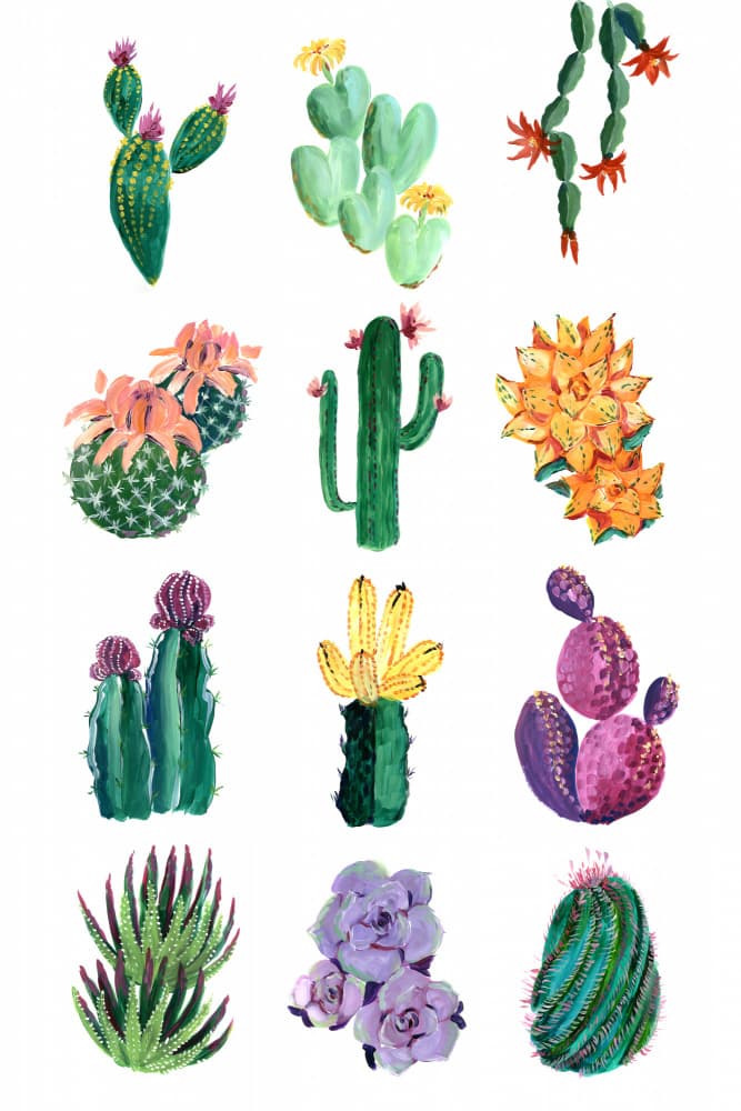Vibrant Cactus Illustrations by Rosana Laiz Blursbyai — canvas wall art