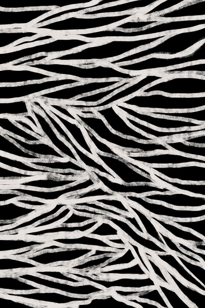 Abstract Flowing Lines by Simona Gocan — canvas wall art