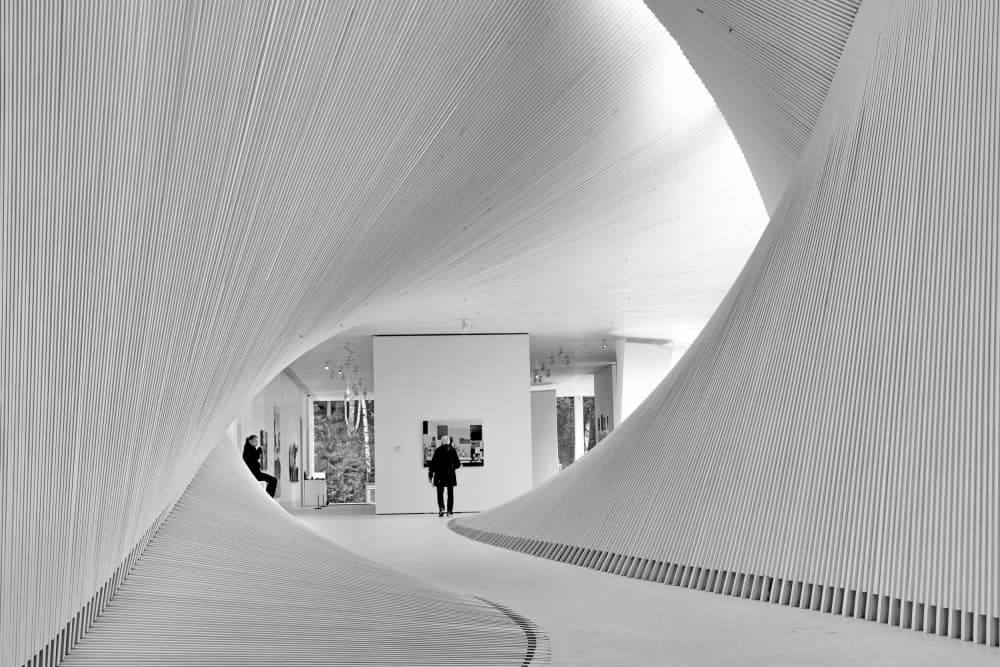 Modern Curved Gallery by Henk Langerak — canvas wall art