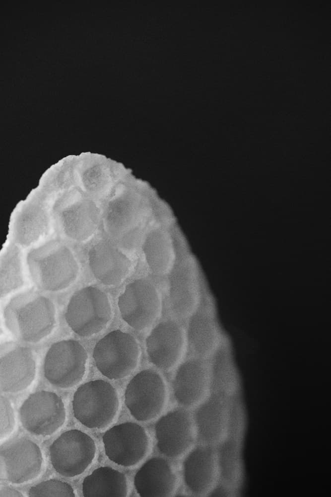 Organic Honeycomb Detail by Lynann Colligan — canvas wall art