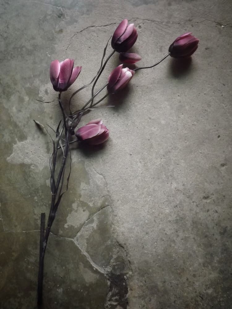Purple Tulips on Concrete by Kahar Lagaa — canvas wall art