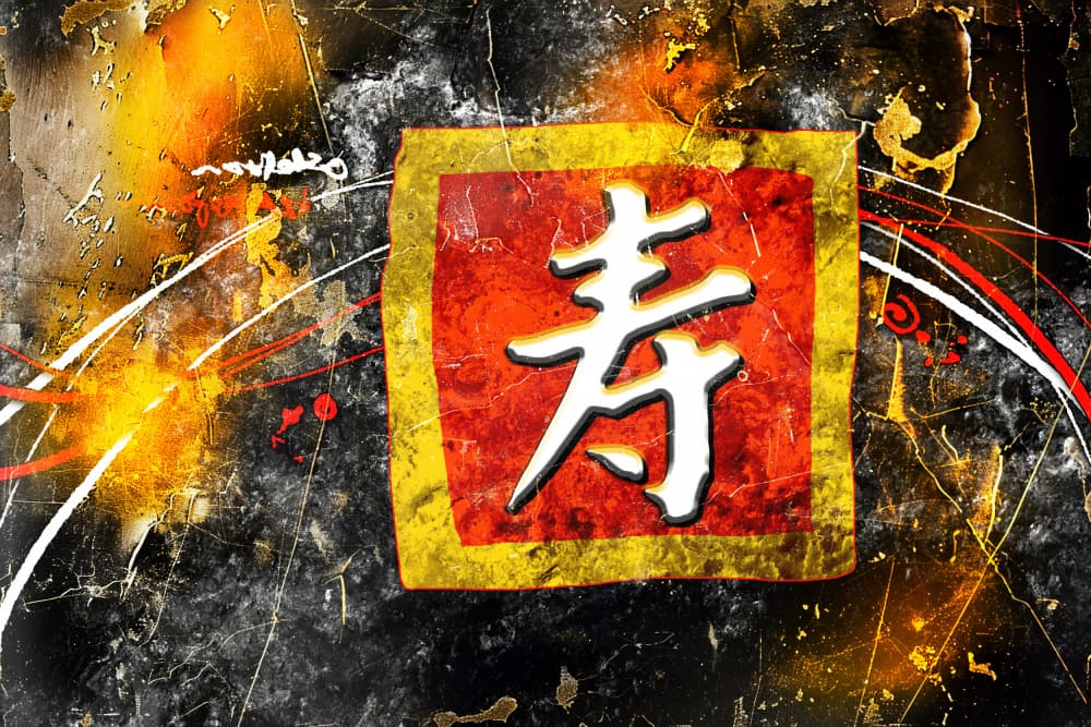 Shou Longevity Symbol Grunge by Rafal Kulik — canvas wall art