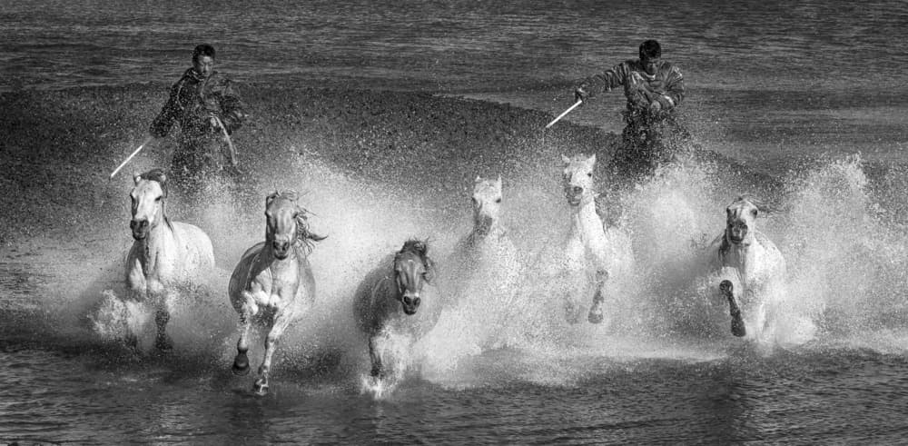 Wild Horses Gallop Through Water by Angela Muliani Hartojo — canvas wall art