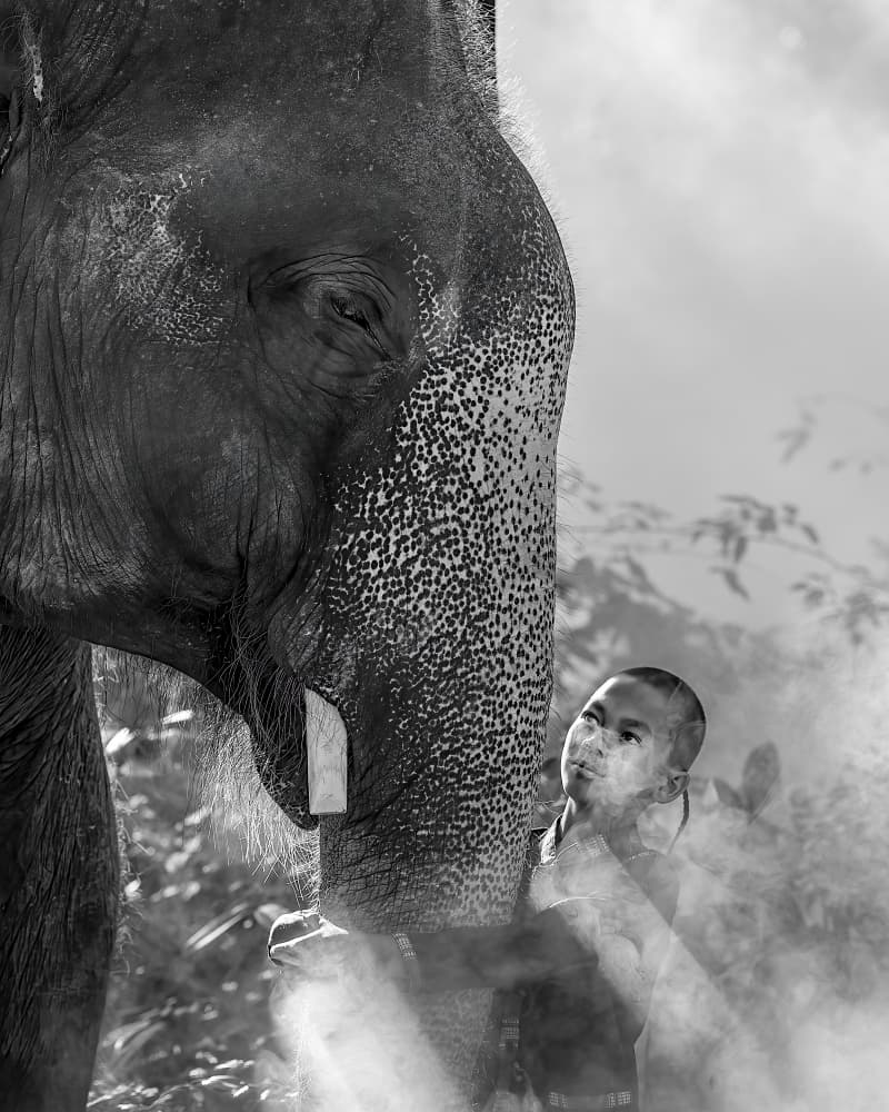 Monk and Elephant by Dev Sirikulthada — canvas wall art