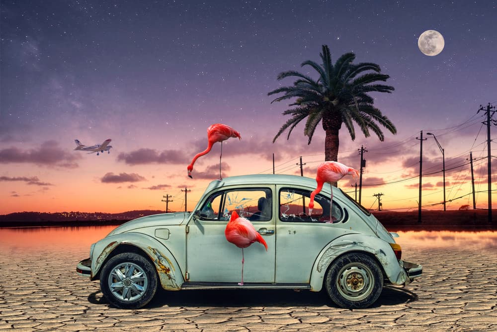 Pink Flamingos Night Desert by Christian MARCEL — canvas wall art
