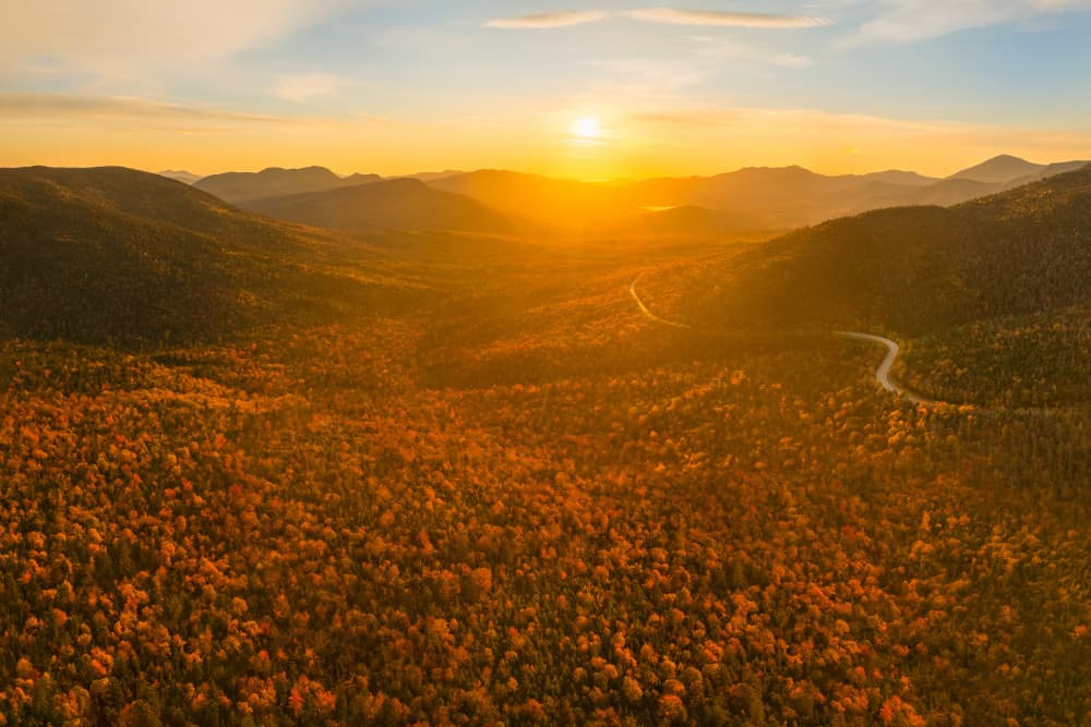 Golden Hour Forest Road by John Fan — canvas wall art