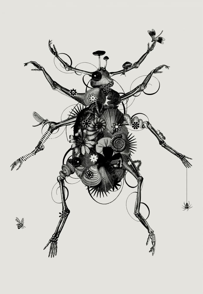 Surreal Steampunk Beetle by Jaco Putker — canvas wall art