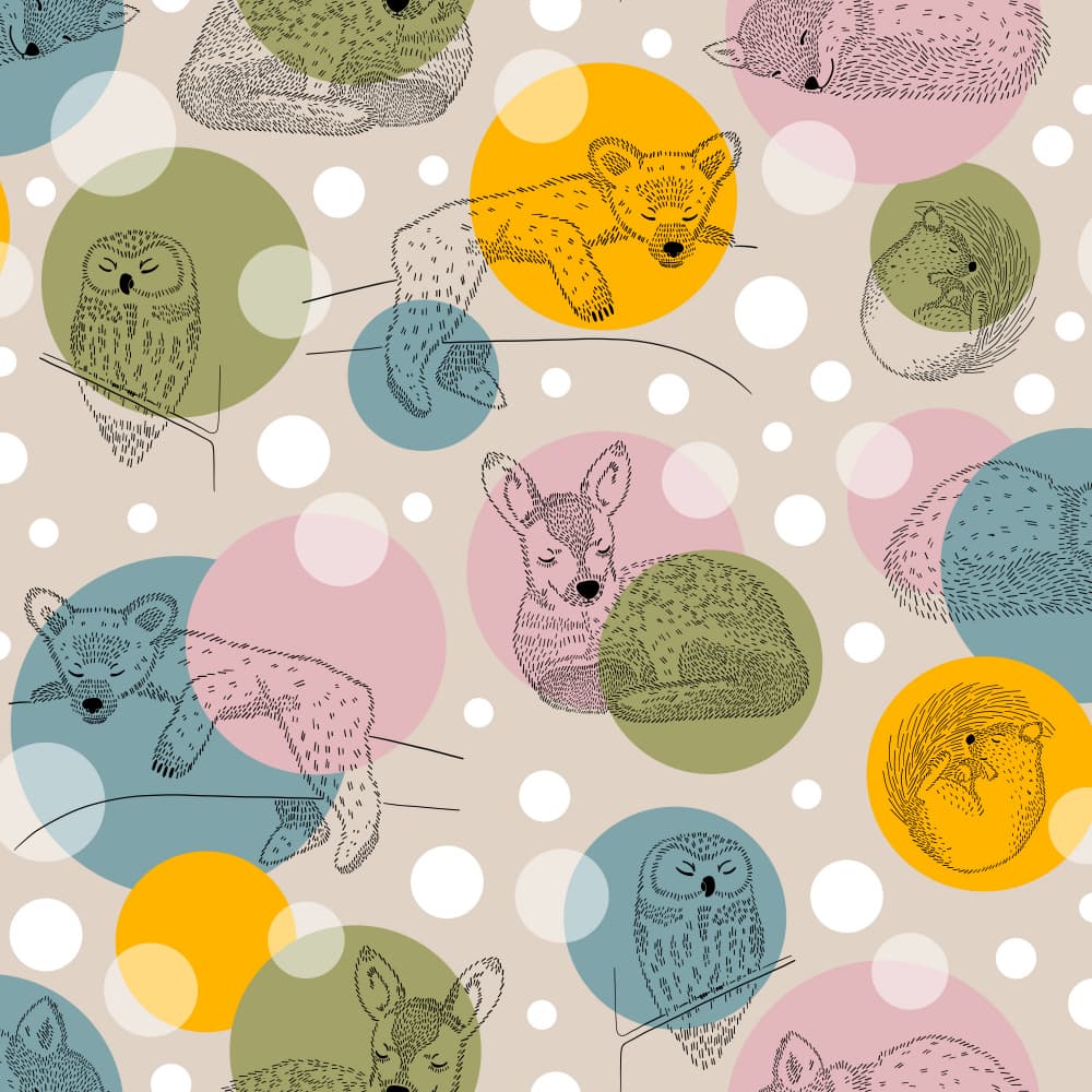 Sweet Sleeping Forest Animals by Alexandra Weise — canvas wall art