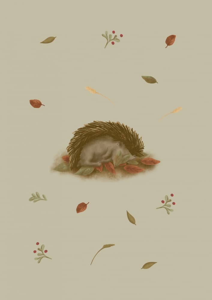 Sleeping Autumn Hedgehog by Aminah Eleonora — canvas wall art