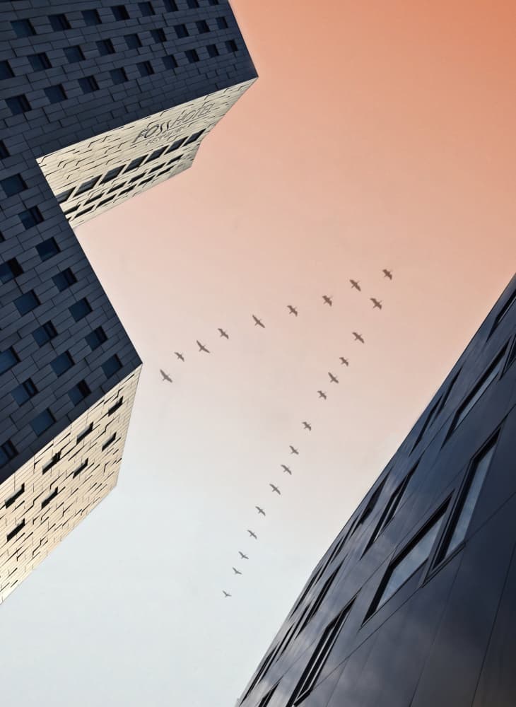 Skyward Flight Between Buildings by Gareth Thomas — canvas wall art