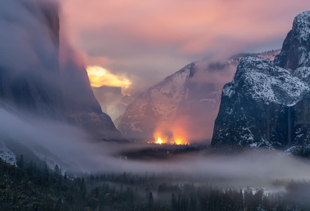 Yosemite Golden Glow by Catherine Lu — canvas wall art
