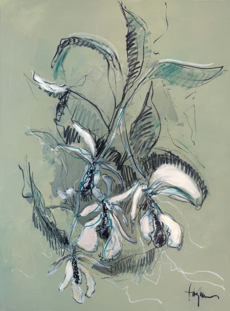 Elegant Orchid Sketch by Dorothy Fagan — canvas wall art