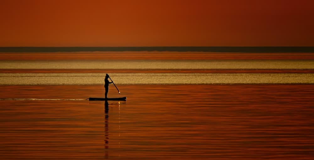Golden Paddleboard Sunset by Susan Breau — canvas wall art