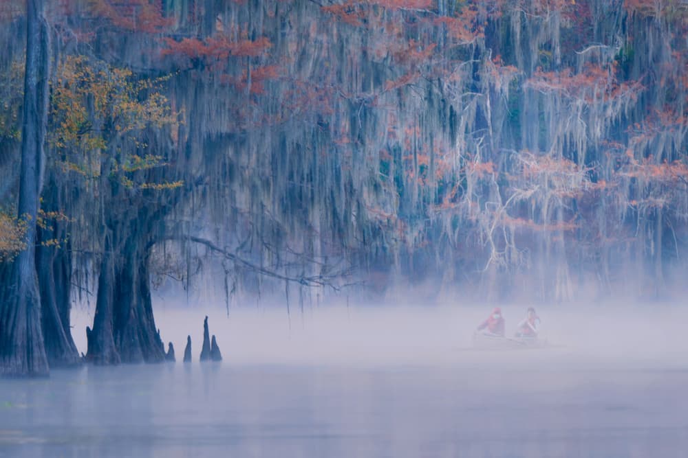 Misty Swamp Canoe Ride by Leah Xu — canvas wall art
