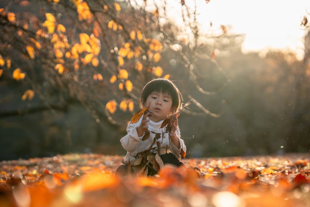 Playful Autumn Child by Satoshi Sakai — canvas wall art