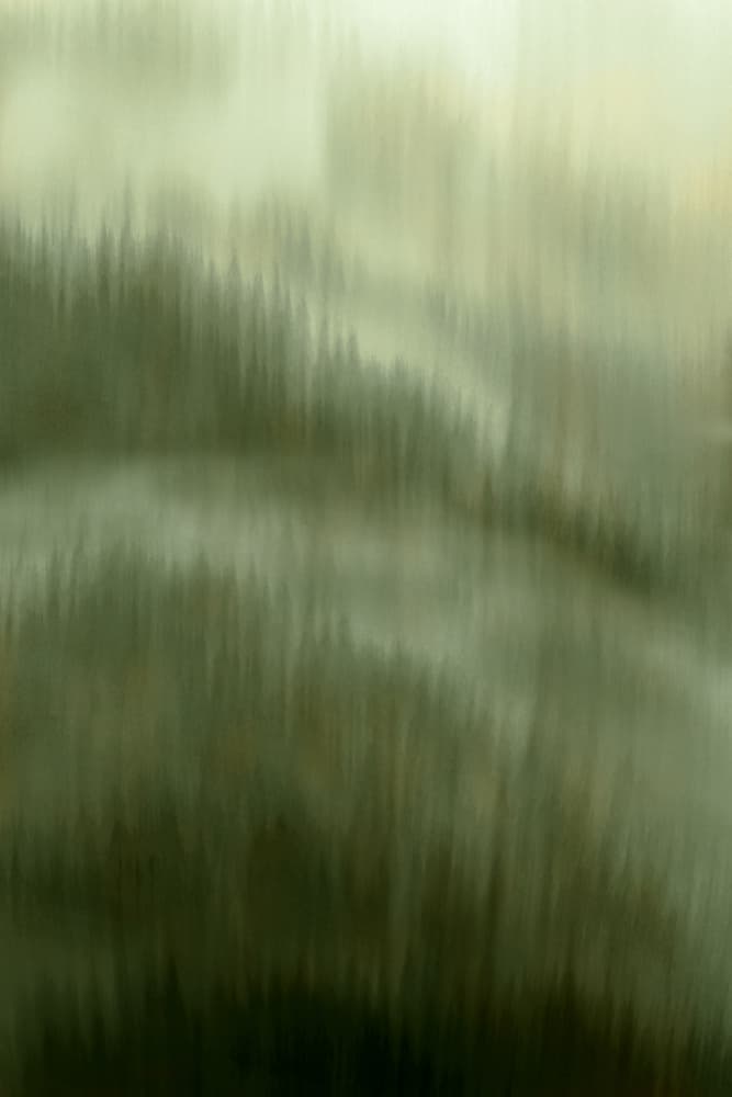 Misty Forest Serenity by Christina Sillen — canvas wall art