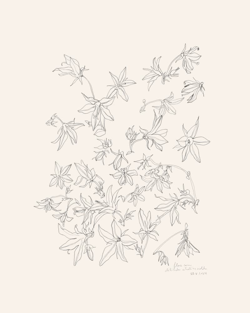 Botanical Flower Study