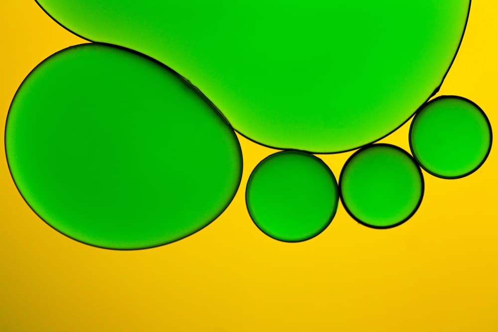 Green Fluid Shapes by Hazem Swidan — canvas wall art