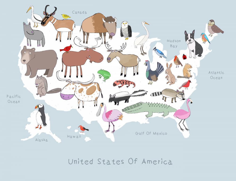 United States Animal Map by Carla Daly — canvas wall art