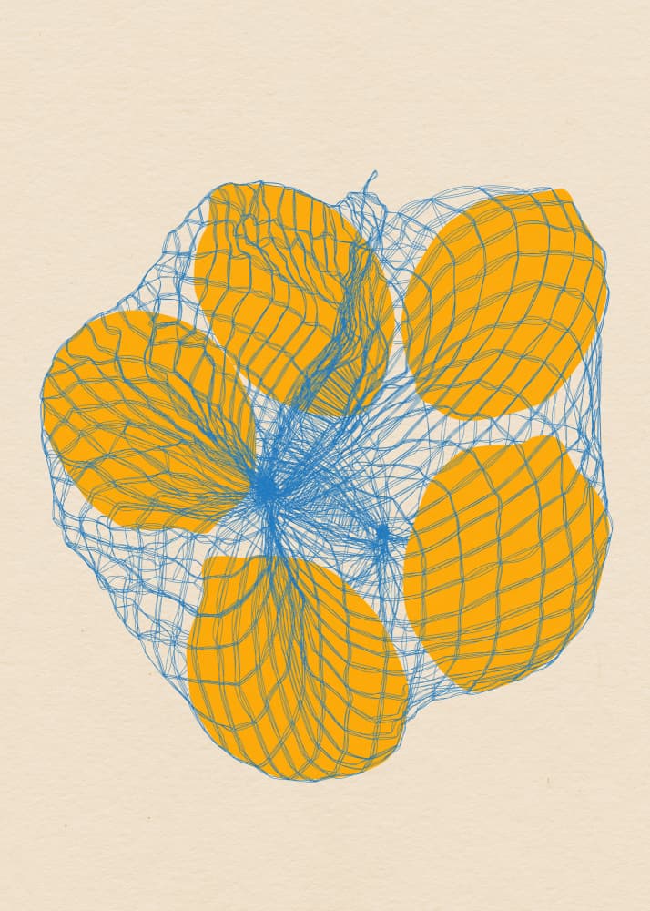 Five Lemons In a Net Bag by Rosi Feist — canvas wall art