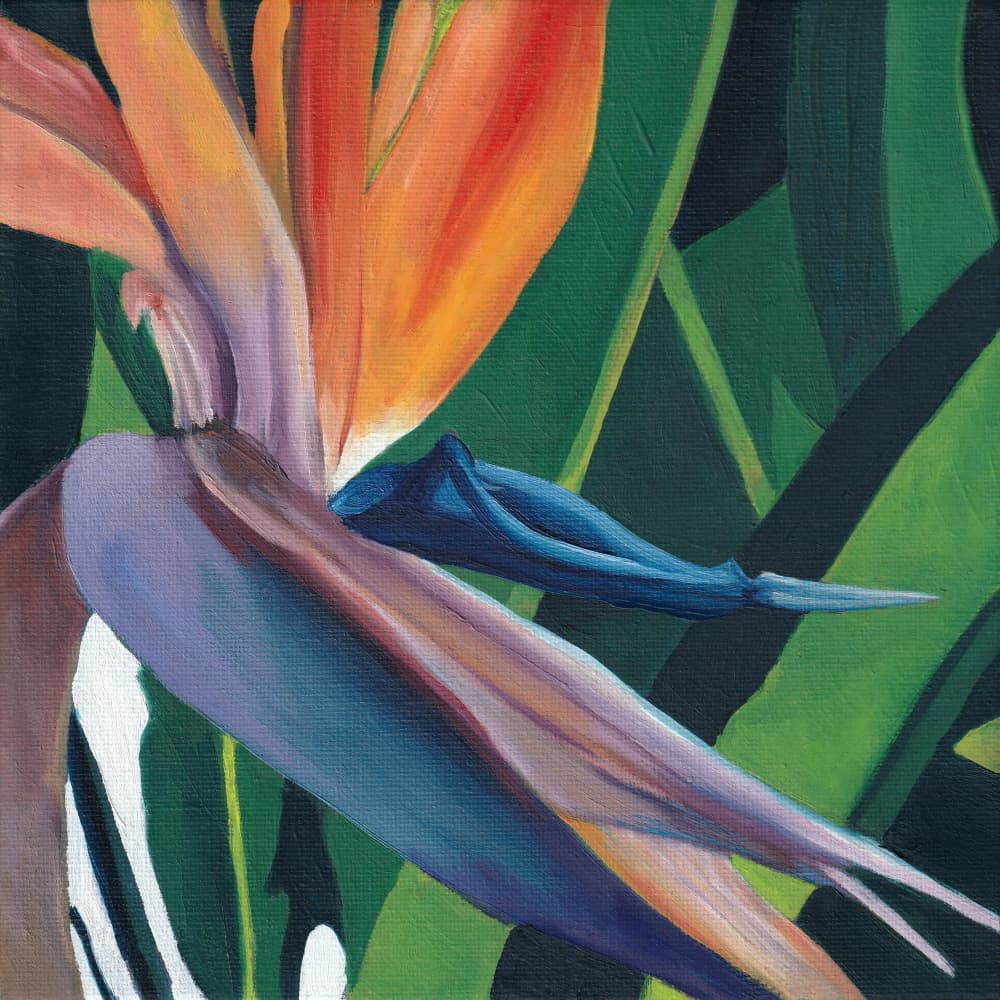 Vibrant Bird of Paradise by Viccy Wanliss — canvas wall art