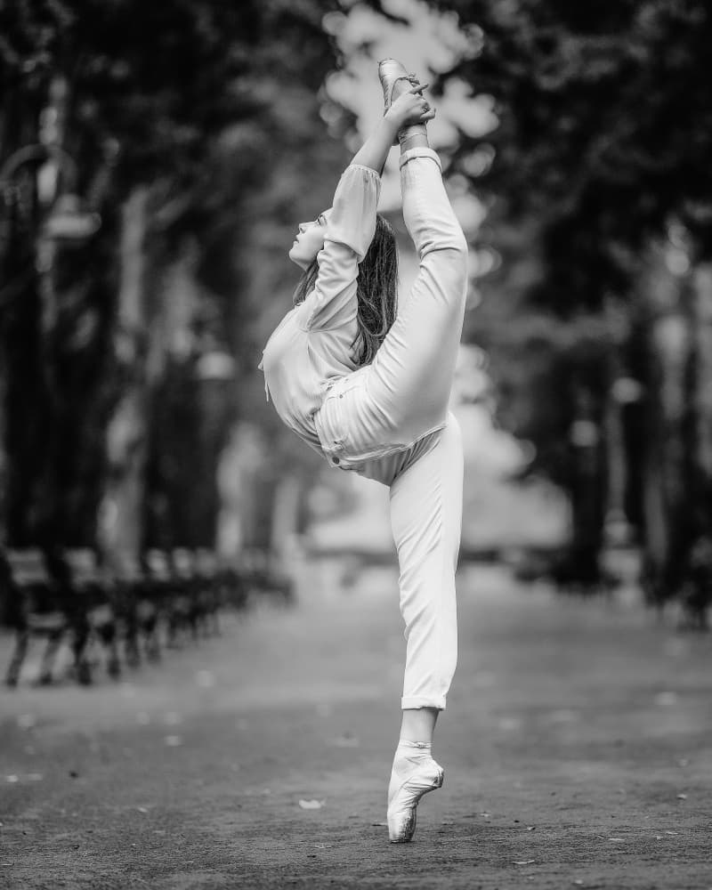 Elegant Park Ballet by Vasil Nanev — canvas wall art