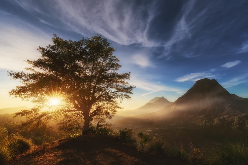 Misty Mountain Sunrise by Juan Pablo de Miguel — canvas wall art