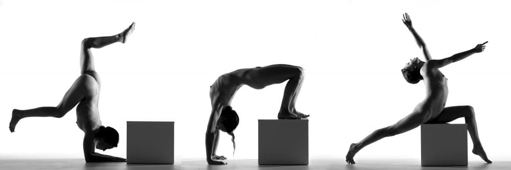 Strength and Graceful Forms by Joan Gil Raga — canvas wall art