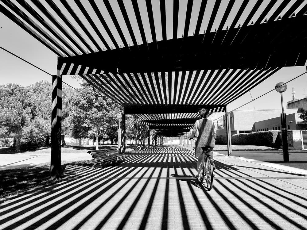 Shadowed Cycle Path by Adolfo Urrutia — canvas wall art