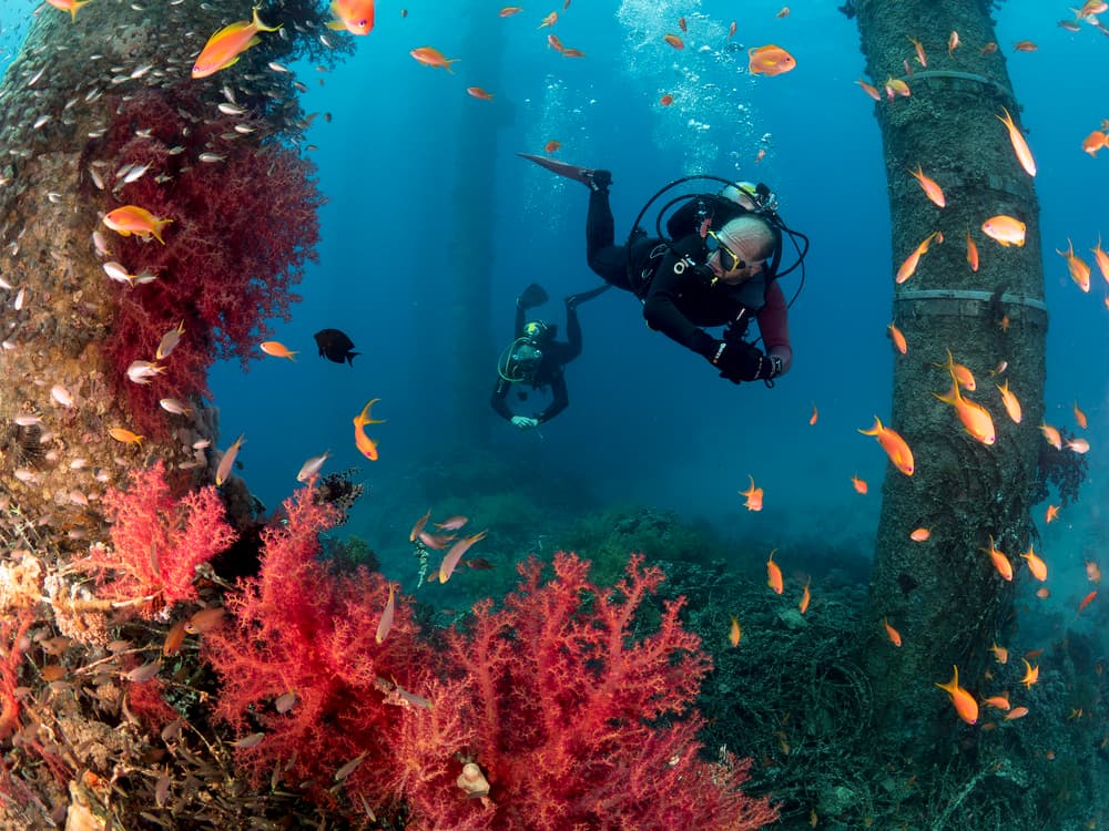 Divers Amidst Coral Pillars by Ilan Ben Tov — canvas wall art