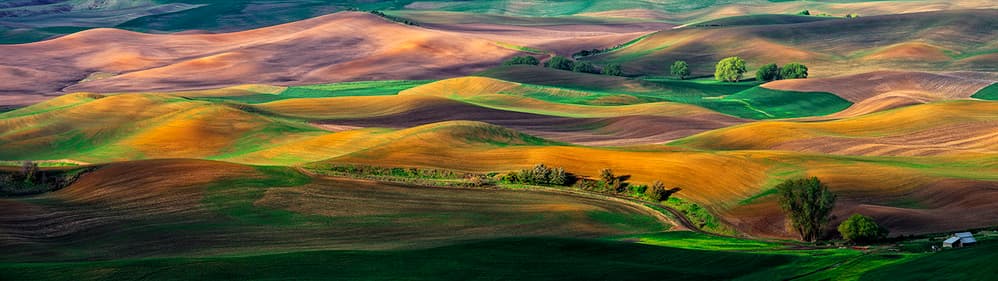 Colorful Rolling Fields by Hua Zhu — canvas wall art