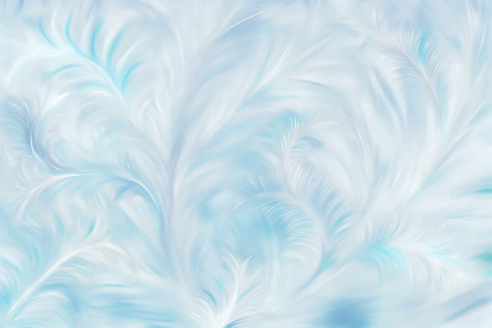 Winter Frost Swirls by Karina Aleksandrova — canvas wall art